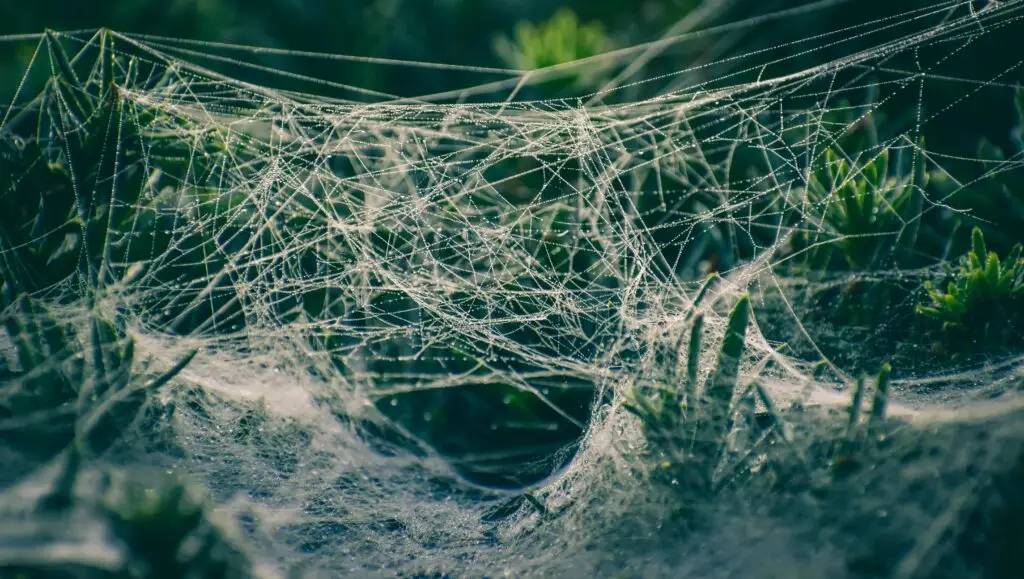 Does your brain work differently? Explore what ADHD looks like in adults, from time blindness to executive function. Compassionate Adelaide support.